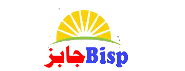 BISP Jobs