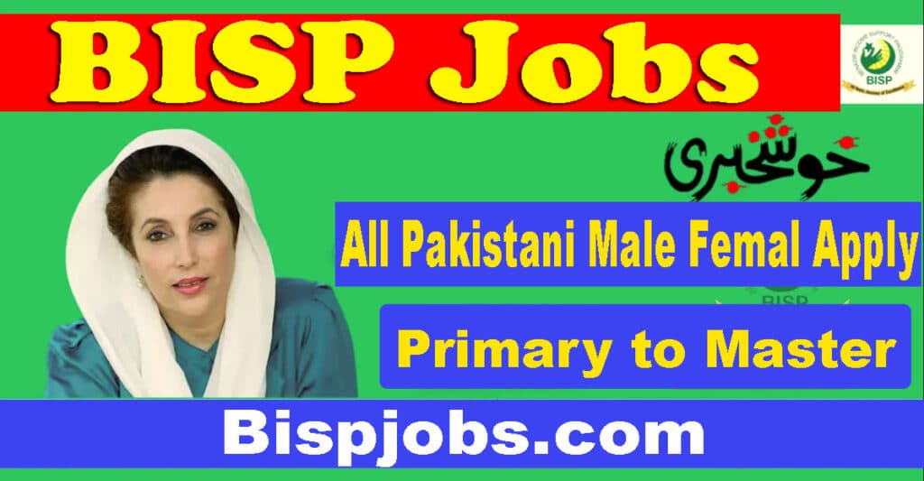 BISP Jobs 2024 Benazir Income Support Programme - Online Apply