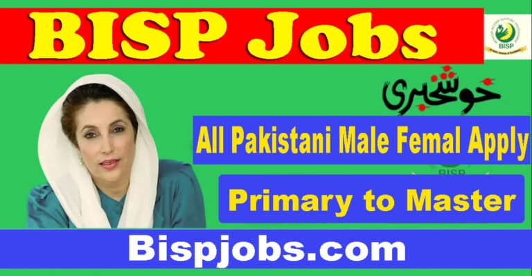 BISP Jobs 2025 Benazir Income Support Programme - Online Apply