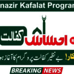 Benazir Kafalat Program 2024 Online Registration Check by CNIC