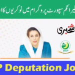 BISP Deputation Jobs 2024 Apply Online - bisp.gov.pk jobs