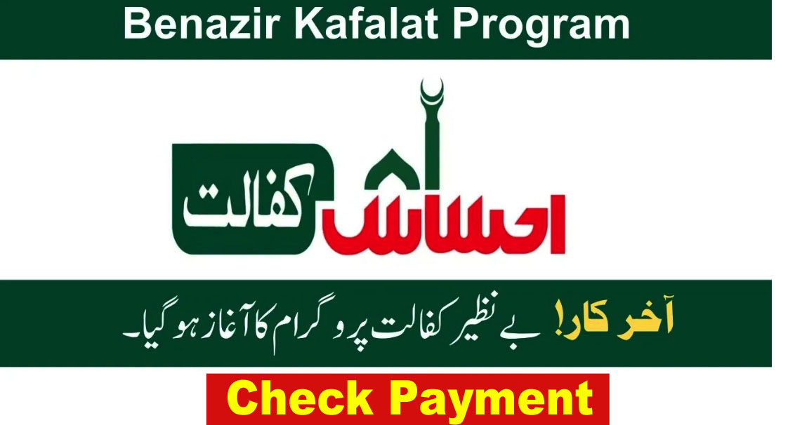 Benzair Kafalat Program Check By CNIC 2024 Update