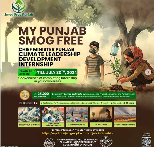 cm punjab internship