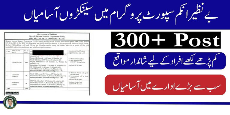 BISP Primary Pass Jobs 2025 | 300+ Post