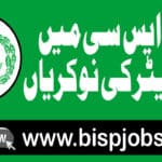 PPSC Educators Jobs 2024 All Punjab Schools