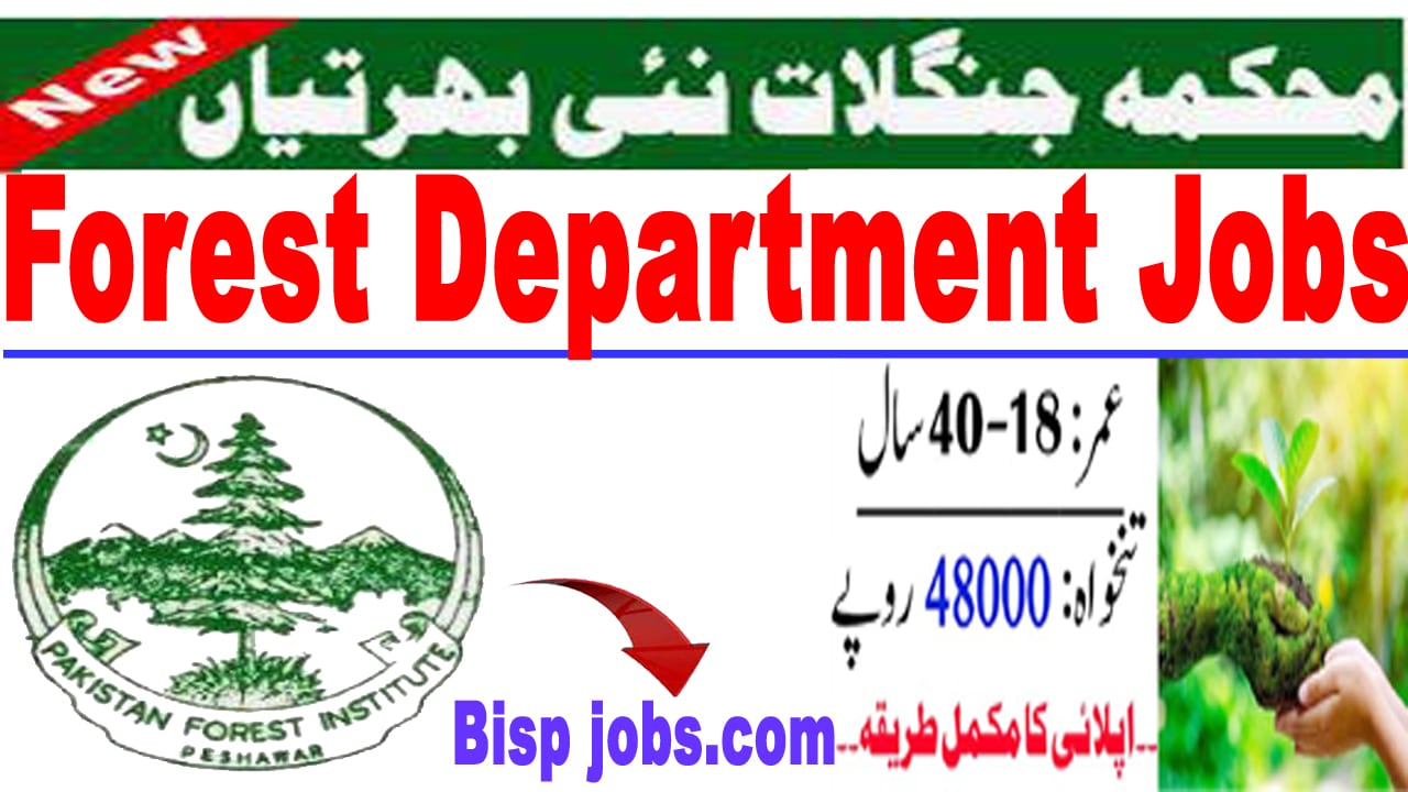 Forest Department Jobs