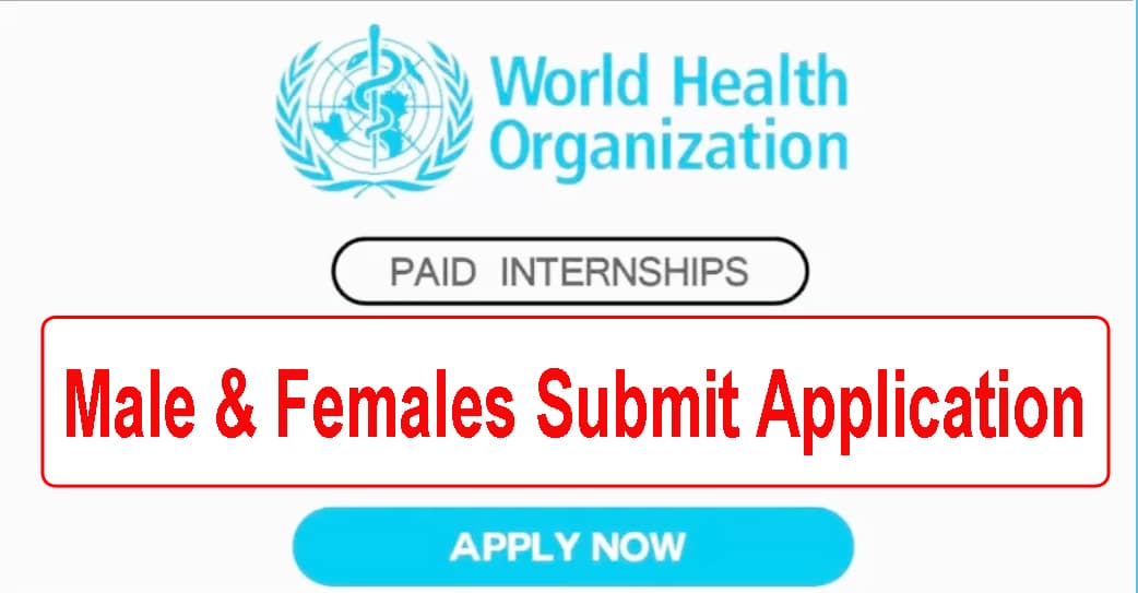 WHO Internship Program 2024 Online Apply