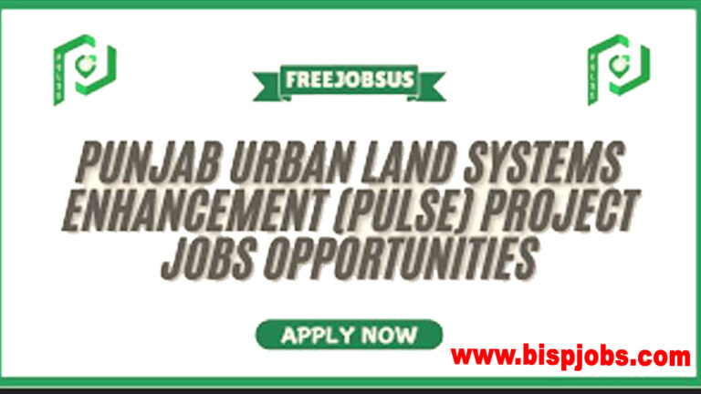 Latest Vacancies Punjab Urban Land Systems Enhancement Jobs 2025