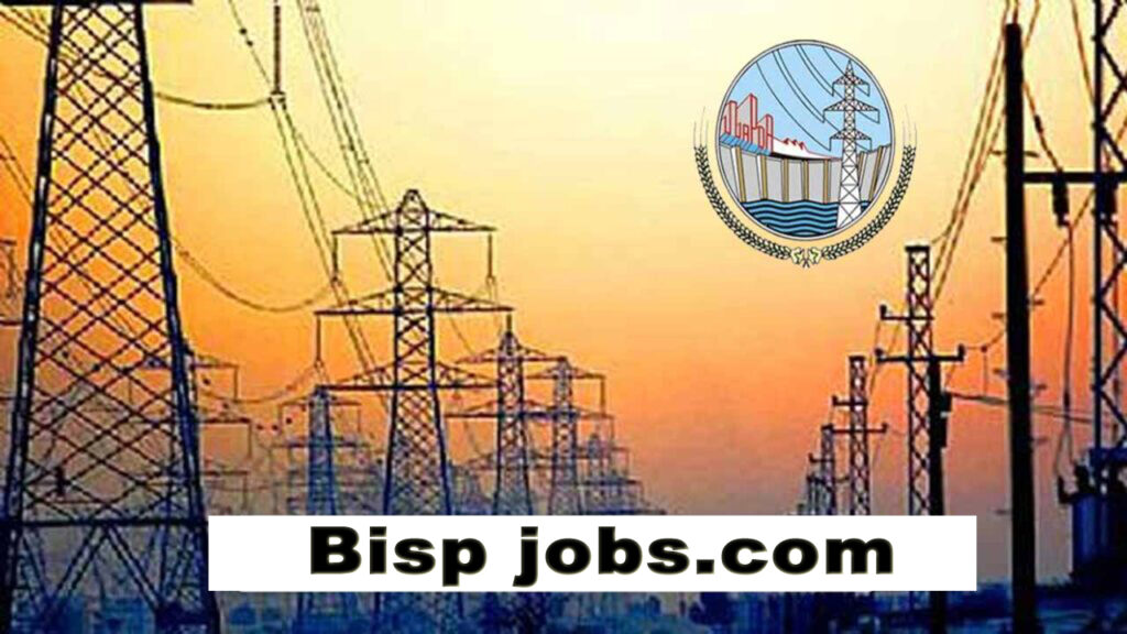 WAPDA Jobs 2025 Advertisement