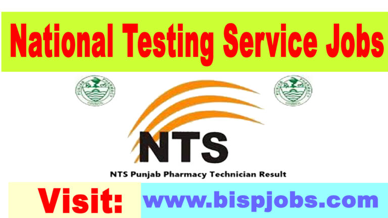 National Testing Service Jobs